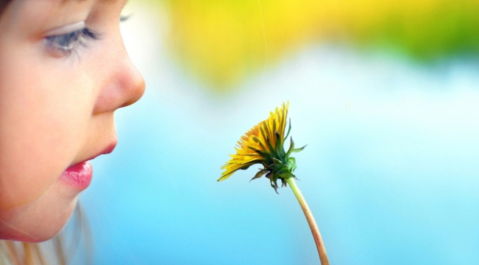 Những cách thức để giúp con thích viết văn và tăng cường vốn từ của chị Phan Thị Hồ Điệp - phần 1: Quan sát